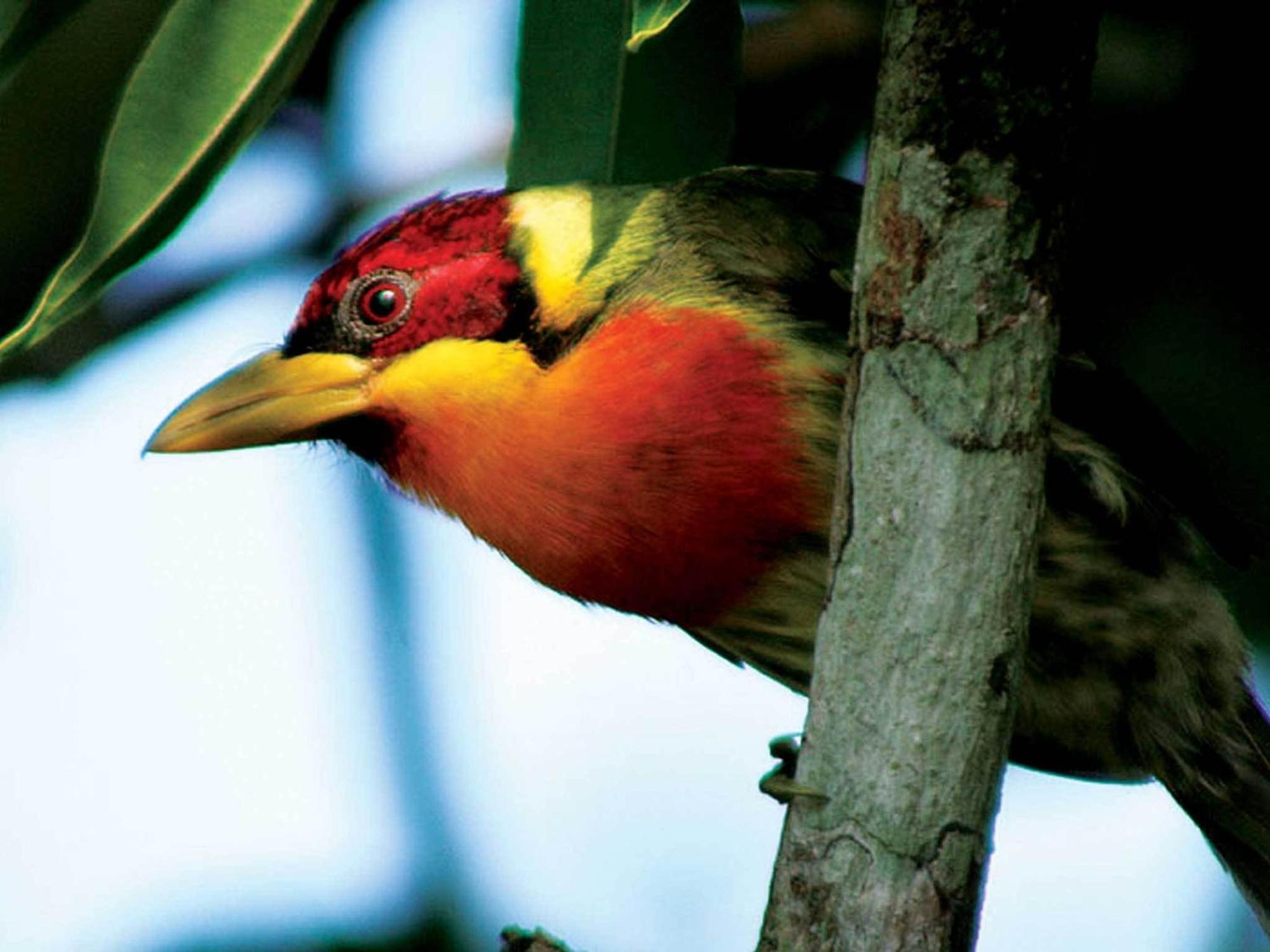 Inkaterra Reserva Amazonica Puerto Maldonado Kültér fotó
