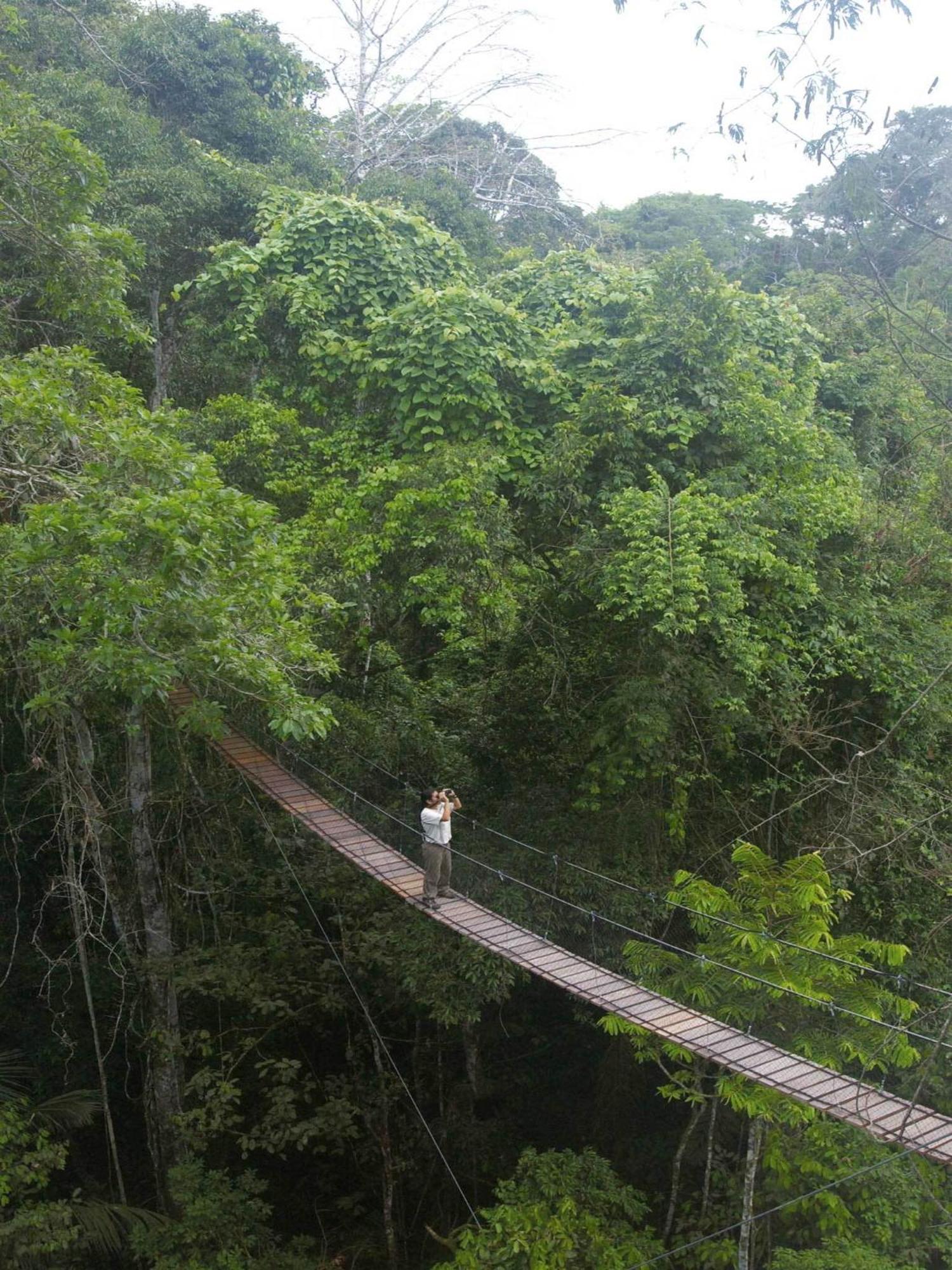 Inkaterra Reserva Amazonica Puerto Maldonado Kültér fotó