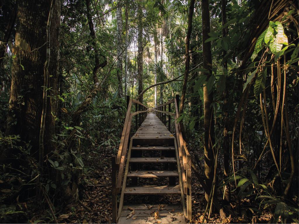 Inkaterra Reserva Amazonica Puerto Maldonado Kültér fotó