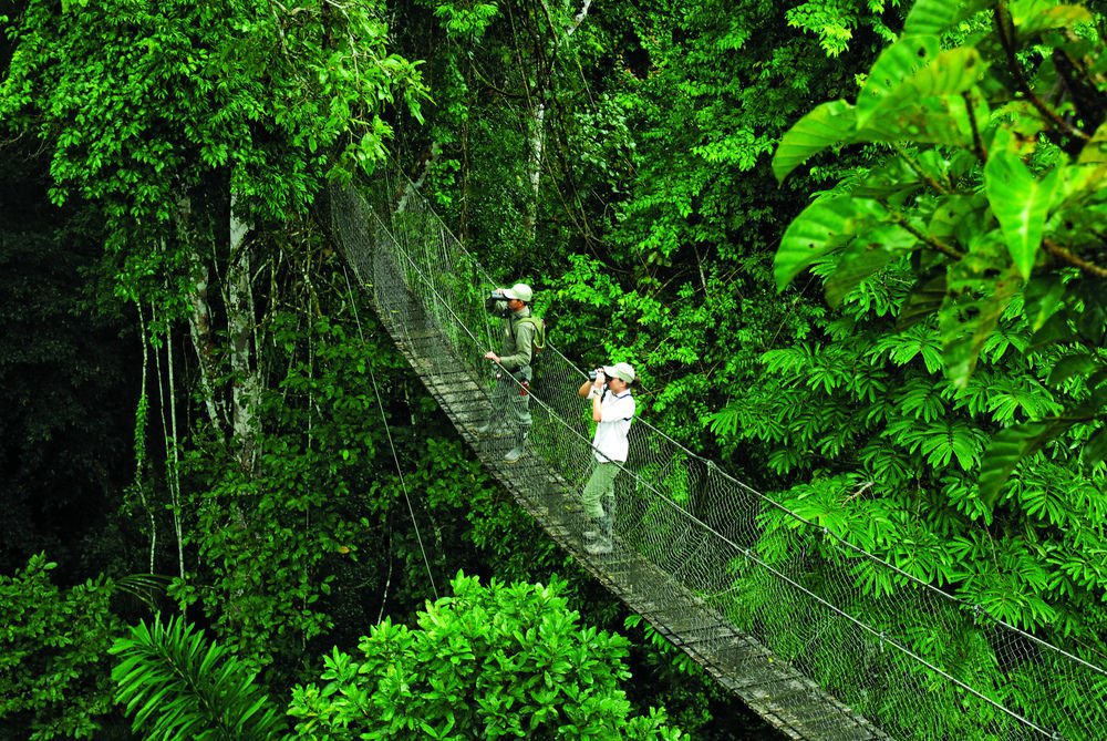 Inkaterra Reserva Amazonica Puerto Maldonado Kültér fotó